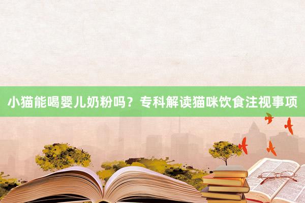 小猫能喝婴儿奶粉吗？专科解读猫咪饮食注视事项