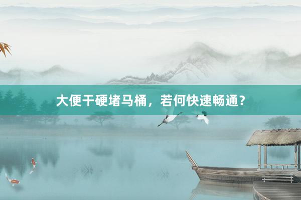 大便干硬堵马桶，若何快速畅通？
